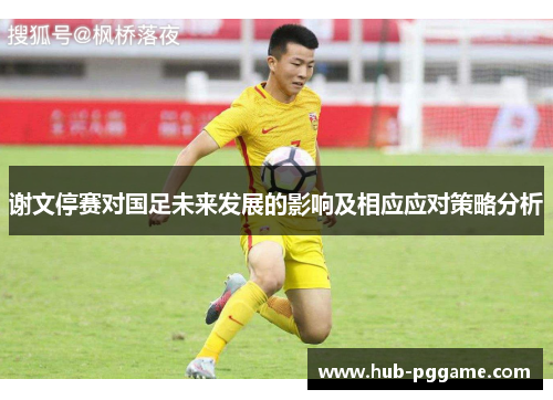 谢文停赛对国足未来发展的影响及相应应对策略分析