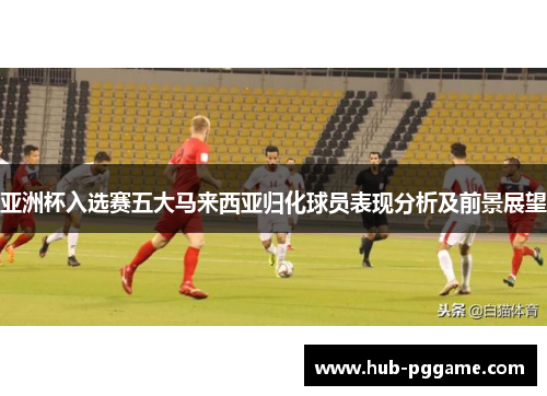 亚洲杯入选赛五大马来西亚归化球员表现分析及前景展望