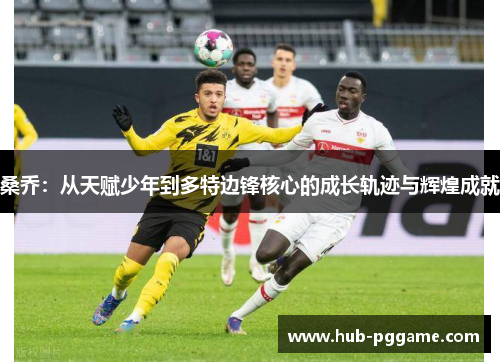 桑乔：从天赋少年到多特边锋核心的成长轨迹与辉煌成就