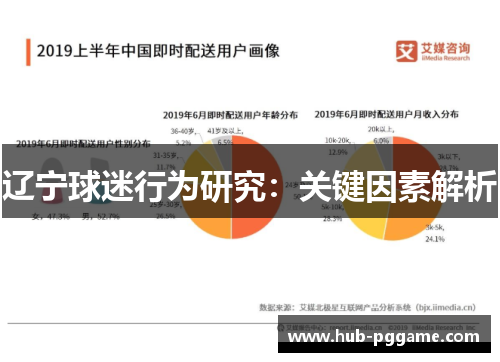 辽宁球迷行为研究：关键因素解析