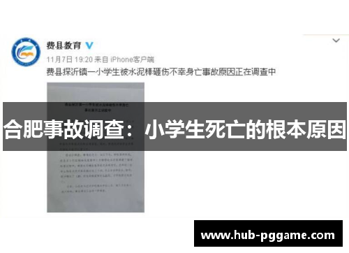 合肥事故调查：小学生死亡的根本原因