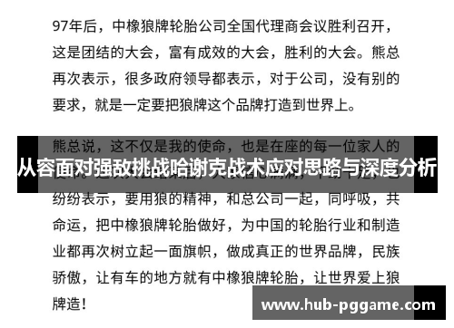 从容面对强敌挑战哈谢克战术应对思路与深度分析 从容面对强敌挑战哈谢克战术应对思路与深度分析