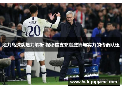 魔力鸟球队魅力解析 探秘这支充满激情与实力的传奇队伍 魔力鸟球队魅力解析 探秘这支充满激情与实力的传奇队伍